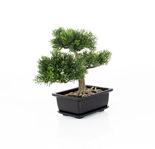 Künstlicher Bonsai Zeder im Töpfchen, ca. 23 cm – hochwertiger Kunstbonsai - 4