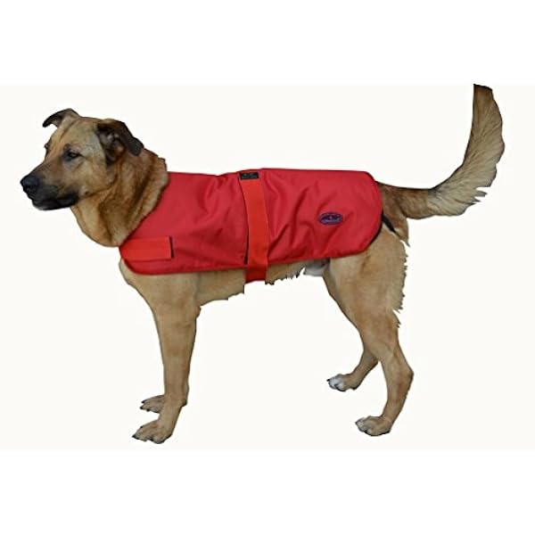 Outback jack dog coat Clearance