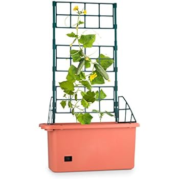 Tomatenturm 120 cm,1 Stück: Amazon.de: Garten