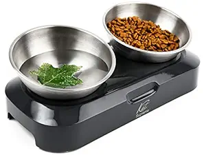 KatSupreme Tilted Cat Food Bowls - Elevated Cat Bowls, Anti Vomiting Cat Bowl Set, Stainless Steel Cat Bowls, Cat Food Bowls Elevated, Raised Cat Bowls for Indoor Cats, Orthopedic Cat Bowl