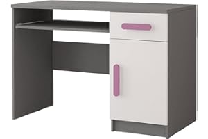 ‎POLINI HOME Polini Home Jugend- und Kinderschreibtisch 110 x 76 x 50 cm in Grau-Weiß mit rosa Griffen Colour Serie