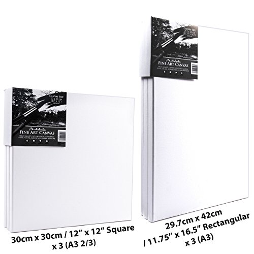 artdale 12 Pack Standard Edge 17 mm gerahmt blanko Pre gespannt Leinwände, dreifach grundiert weiß 20/30 cm quadratisch & 20 x 30/30 x 40 cm rechteckig Holz Rahmen 100% Baumwolle Student/Künstler Art Leinwand Öl Acryl & mehr - 6