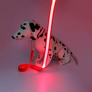 Abcsea Cuerda Brillante para Mascotas, Cuerda De Perro De Hebilla Multi-función Resplandor, Correa para Mascotas Brillan En La Oscuridad – Amarillo, 1PCS