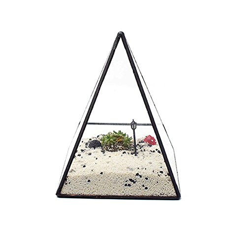 Ultra 14x14x18.5cm Premium Qualität Glas Terrarium Dreieck mit einem Cut-off Rand ideal für Moos und Pflanzen oder Dekorationen (14 x 14 x 18.) - 3