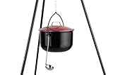 ACTIVA Topf für Schwenkgrill Feuerstelle Kochtopf Feuerkessel Gulaschkessel