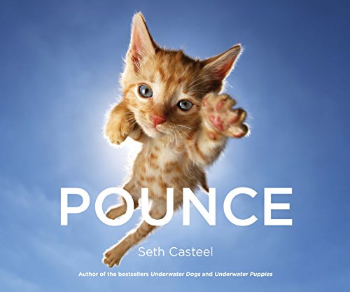 Download Pounce
