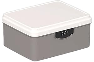 Aartner Abschließbare box, Plastic Box Abschließbar Kühlschrank Safe, Büroschrank Abschließbar für Lebensmittel, Medikamente und Technik/Handygefängnis (Grau, M (26 x 21.6 x 12.6cm))