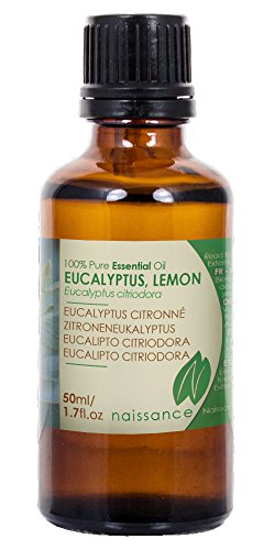 Eucalyptus Citriodora (Zitroneneukalyptus) – 100% naturreines ätherisches Öl – 50ml