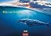 Wale und Delphine 2018 by