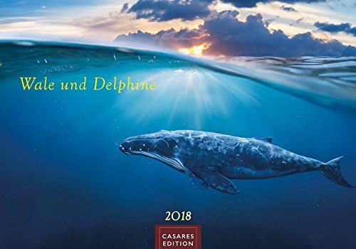 Wale und Delphine 2018