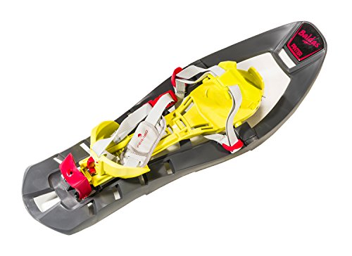 Ferrino - Raquetas de nieve Pinter Castor, color gris, talla L