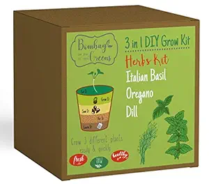 Bombay Greens 3 in 1 Herbs Sow and Grow Gardening Kit | Grow Your Own Kit - Italian Basil Seeds, Oregano Seeds & Dill Plant Seeds | DIY Kit of Herb Seeds for Home Garden | Combo of Seeds for Gardening