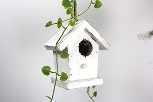 DEKO AST AUS BUCHENHOLZ von CreaTina mit REBHERZ frühlingshaft dekoriert Circa 118 cm lang ist dieser Ast perfekt als Fensterdekoration oder Raumdekoration - 4