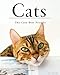 Produktbild Cats, The Cute Best Friends: Beautiful cat photography that you will love them more