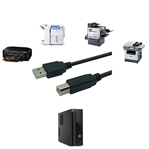 Hochwertige – USB 2.0 A zu Typ B Kabel – funktioniert mit externe Desktop-Festplatten – funktioniert mit Western Digital, Transcend, LaCie, Toshiba, Buffalo, Freecom, Iomega, WD Desktop USB-Festplatten - 3