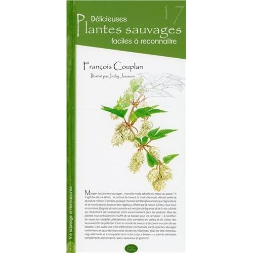Délicieuses plantes sauvages faciles à reconnaître Délicieuses plantes sauvages faciles à reconnaître