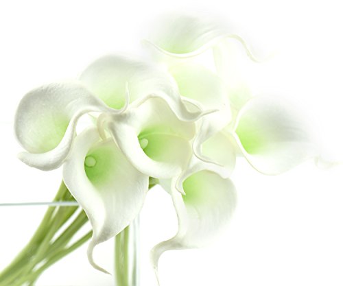 FiveSeasonStuff 10 Stück Qualität Gefühlsecht (Real Touch) Calla-Lilien-künstliche Blumen-Bouquet Dekoration, ideal für die Hochzeit, Braut, Party, Zuhause, Büro Dekor DIY (Weiß und Grün Griffel)