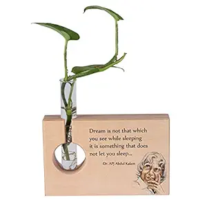 RK Cart APJ Abdul Kalam Wooden Decorative Items for Home & Office Table Accessories, Plant Holder Stand with Test Tube Vase