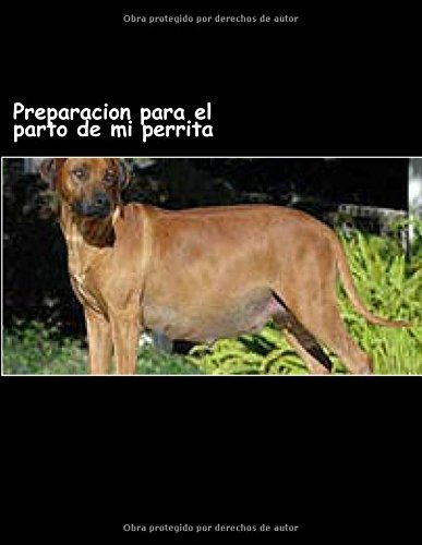 Preparacion para el parto de mi perrita