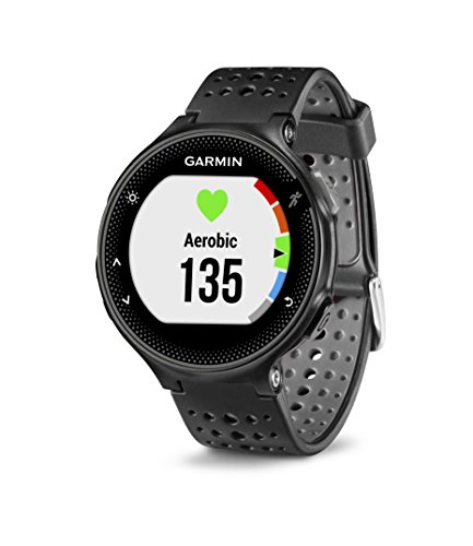 Preisvergleich Produktbild Garmin Forerunner 235