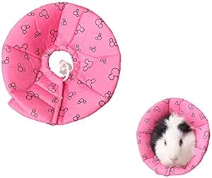 cone of shame amazon