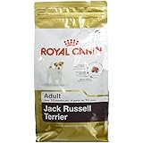 Royal Canin Jack Russel Adult 1,5 kg, 1er Pack (1 x 1.5 kg)
