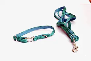 Dogista Pet Products HX-701 Leash Collar Set, Small, 5.5 Feet