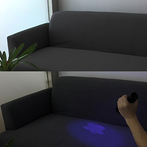 OxyLED UV Schwarzlicht,UV Taschenlampe,51 LED UV Fackel Schwarzlicht Haustier Urin-Detektor,für Hunde,Katzen. eingetrocknete Urin– Flecken auf Teppichen, Flecken und Krabbeltier insZimmer und Bett, falsche Banknote - 6