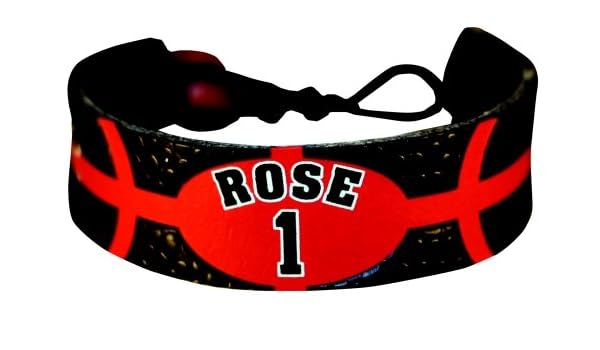 derrick rose dog jersey