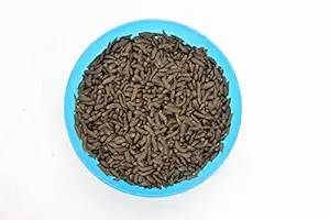 SuprEnviro BSF Pre Pupae - 1kg | Fish Feed / Aqua Feed | Poultry Feed | Pet Feed | Black Soldier Fly Farmers