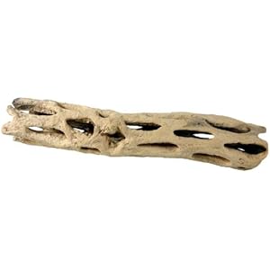 1 Stück Vukaholz ca. 25cm, Dekoration für Aquarium und Terrarium