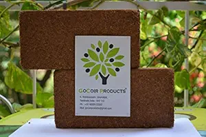 GoCoir Products Cocopeat 650 Grams - Pack of 2