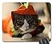 Produktbild Kostüm KITTY Mauspad, Mousepad (Katzen Mauspad)