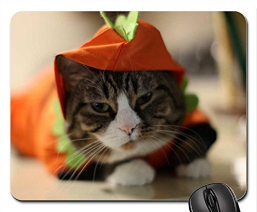 Preisvergleich Produktbild Kostüm KITTY Mauspad, Mousepad (Katzen Mauspad)