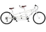 Viking Timber Trail Mountain Bike Tandem