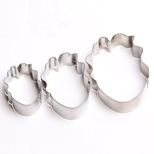 anyana Metall Zuckerguss Keks-Ausstecher Parrot Tulip Backen Morning Glory Blumen-Set von 6 Sugarcraft Kuchen dekorieren Cupcake Form Tools Topper Edelstahl Gebäck - 9