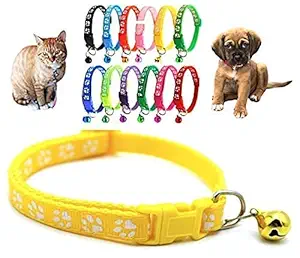 Pups&Pets Nylon 10mm Rainbow Color Collar for Dogs, Puppies, Cat, Kittens, Rabbits Small Breed Size Animals (Pack of 1)