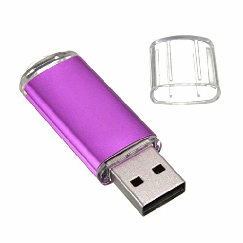 FEITONG 1GB USB 2.0 Metall Flash Memory Stick Speicher Thumb U Festplatte (Lila) - 2