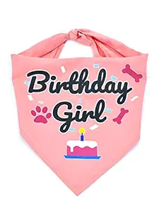 Bubblepup Dog Birthday Bandana, Dog Birthday Bandana boy Girl, Happy Birthday Dog Bandana for Girls and Boys