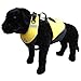 Produktbild First Watch Flotation Dog Vest - Hi-Visibility Yellow - X-Large by First Watch