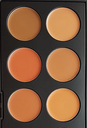 DiChi 10 Farbe Concealer Contouring Palette mit Oval Makeup Pinsel （Golden） - 2