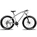 Produktbild SIER 26 Zoll Geländewagen ATV 24 Geschwindigkeit Schneemobil Geschwindigkeit Mountainbike 4.0 großen Reifen Breiten Reifen Fahrrad,Silver
