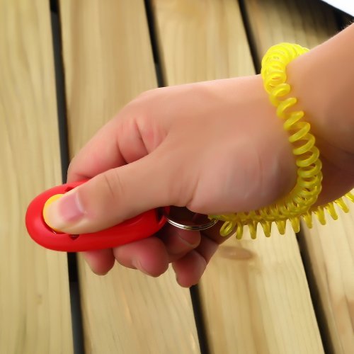 TOOGOOR-Training-Clicker-i-click-clickers-with-wrist-band-strap-RED-GREEN-for-Clicker-Training-2-pack