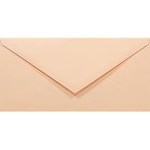 Buste Kraft DL 110x220mm - 50 Pezzi Carta Riciclata Per Lettere E Inviti - Foto 6