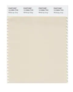 PANTONE Smart 12-0304X Color Swatch Card, Whitecap Gray
