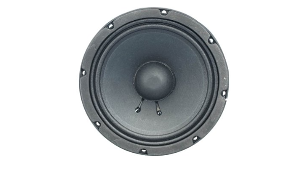 100 watt bass speaker