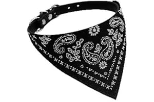 WOO LANDO Collar Ajustable para Gatos y Perros, Ligero, cómodo y Seguro, Ideal para Interior y Exterior, Gargantilla de 20 a 26 cm, diseño Elegante para felinos