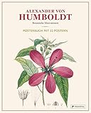 Alexander von Humboldt: Botanische Illustrationen. Posterbuch mit 22 Postern by 