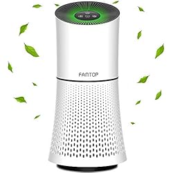 FAMTOP Purificateur d'air Maison, 4-en-1 HEPA Filtrer, Contrôle Intelligent, Veilleuse & Silencieux,(99.97%) Filtrer Les Pellicules des Animaux Domestiques, Allergies, Pollen, Fumée, Air Frais