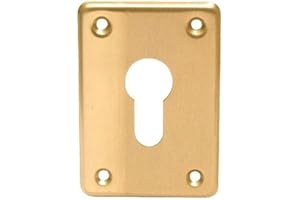 EWBOB Cce 06043.00.0 – Mascherina 52 x 75 cilindro profilo